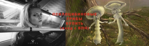 ГАЛЛЮЦИНОГЕННЫЕ ГРИБЫ Абинск