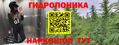 марки lsd Славгород