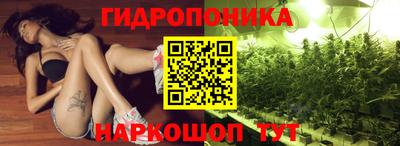 марки lsd Славгород