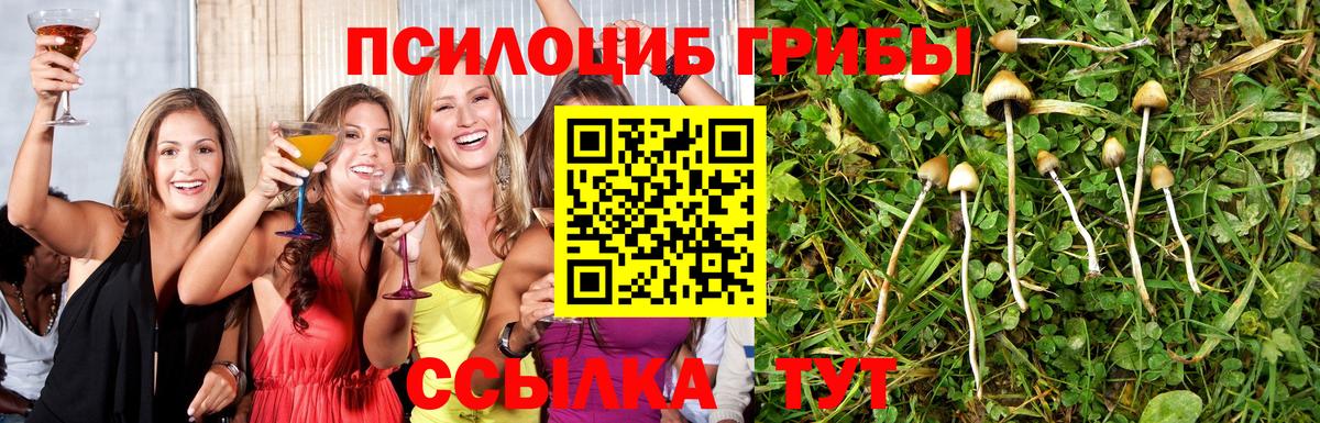 Азов  Галлюциногенные грибы Cubensis  Вход с VPN 
